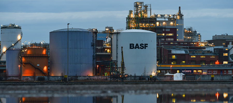Банер (BASF).jpg